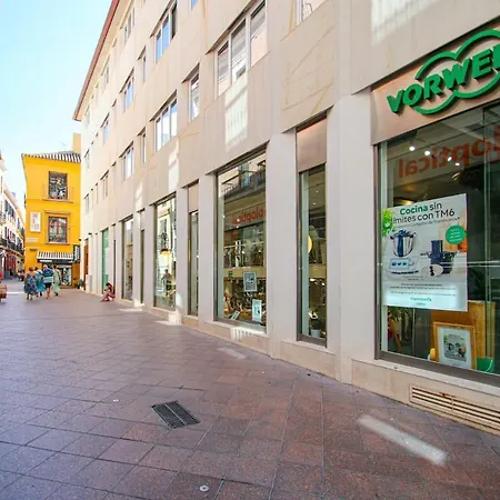 Aparturistic Atico En El Centro